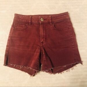 American Eagle Outfitters Hi Rise Shortie Shorts